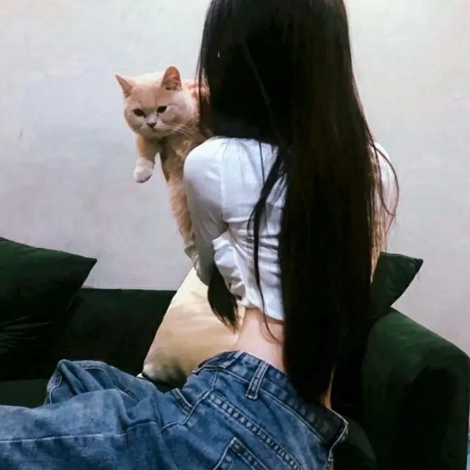 旺角藏龙